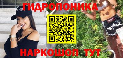 спайс Гай