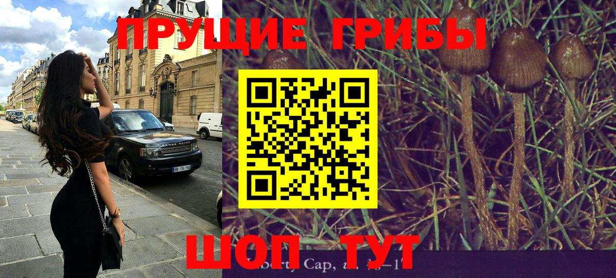 Галлюциногенные грибы прущие грибы  Вход с VPN  Мирный 